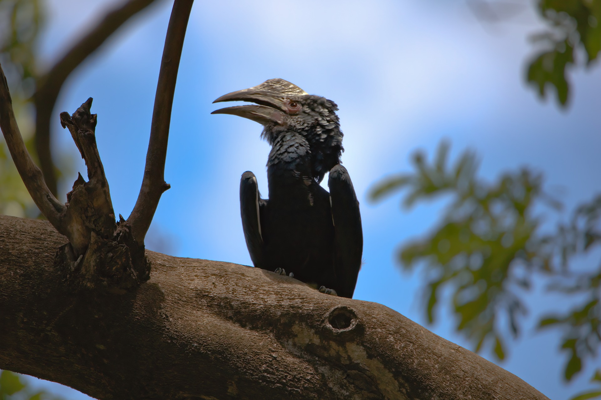 Lake Manyara National Park