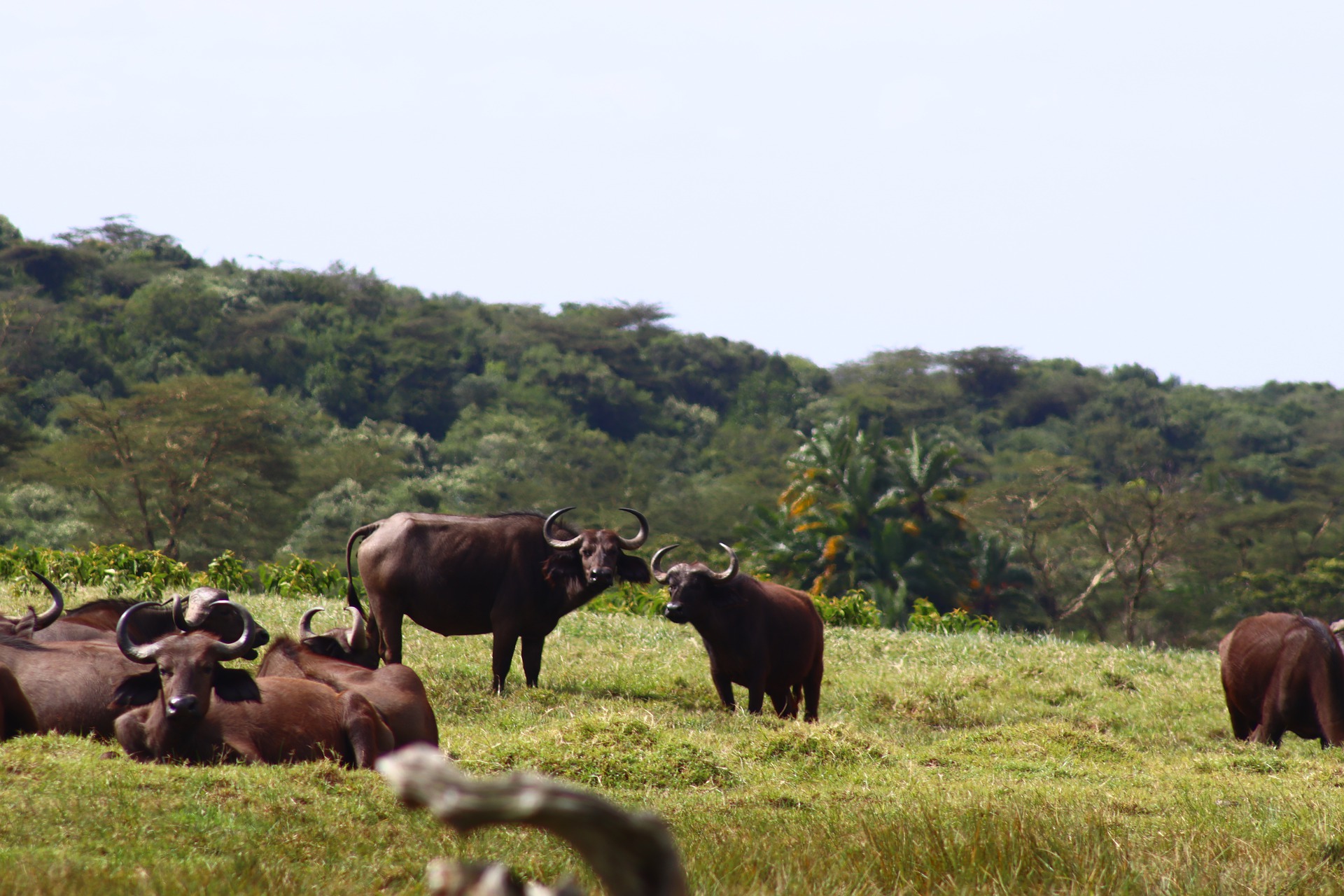 Arusha National Park