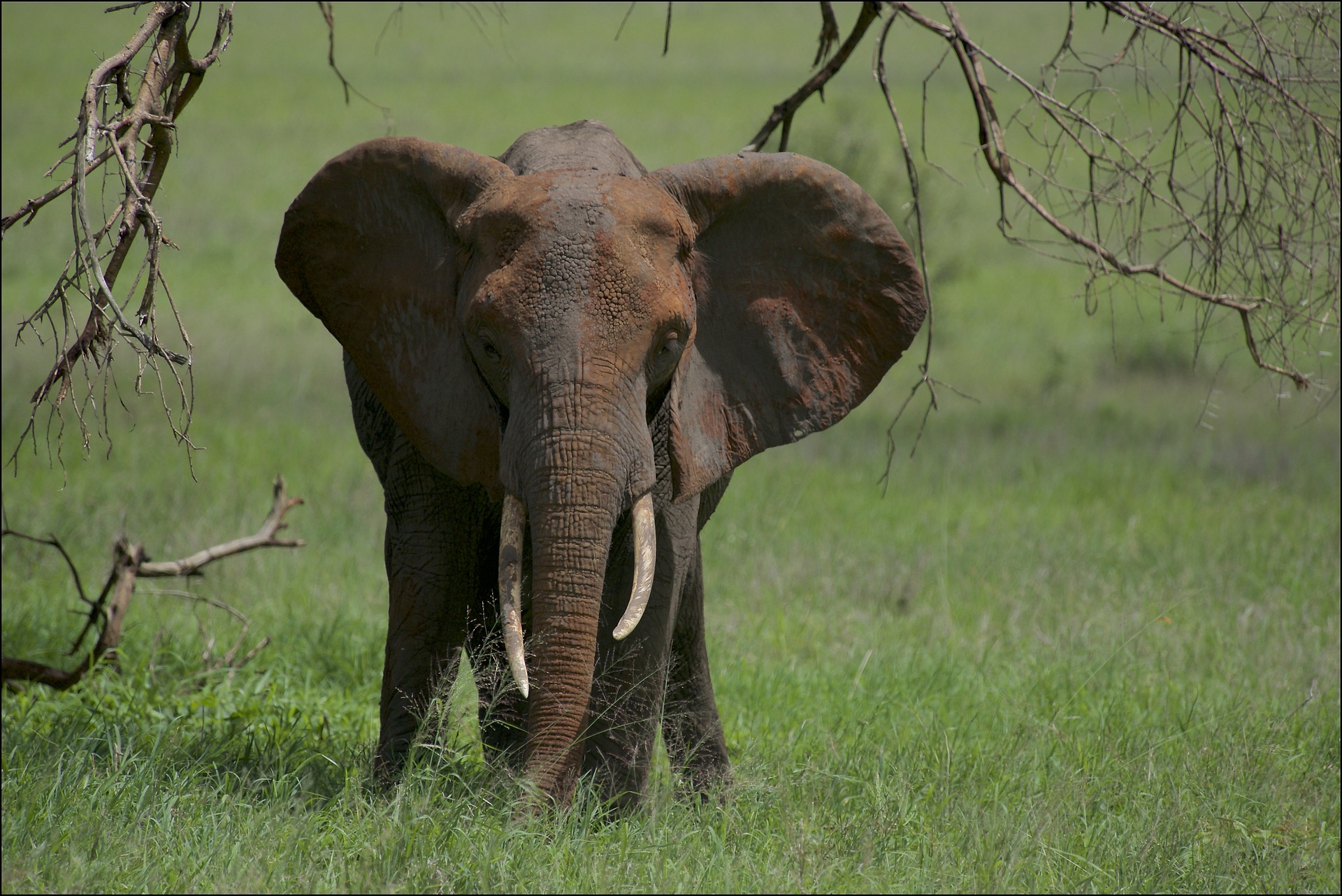 Tarangire National Park