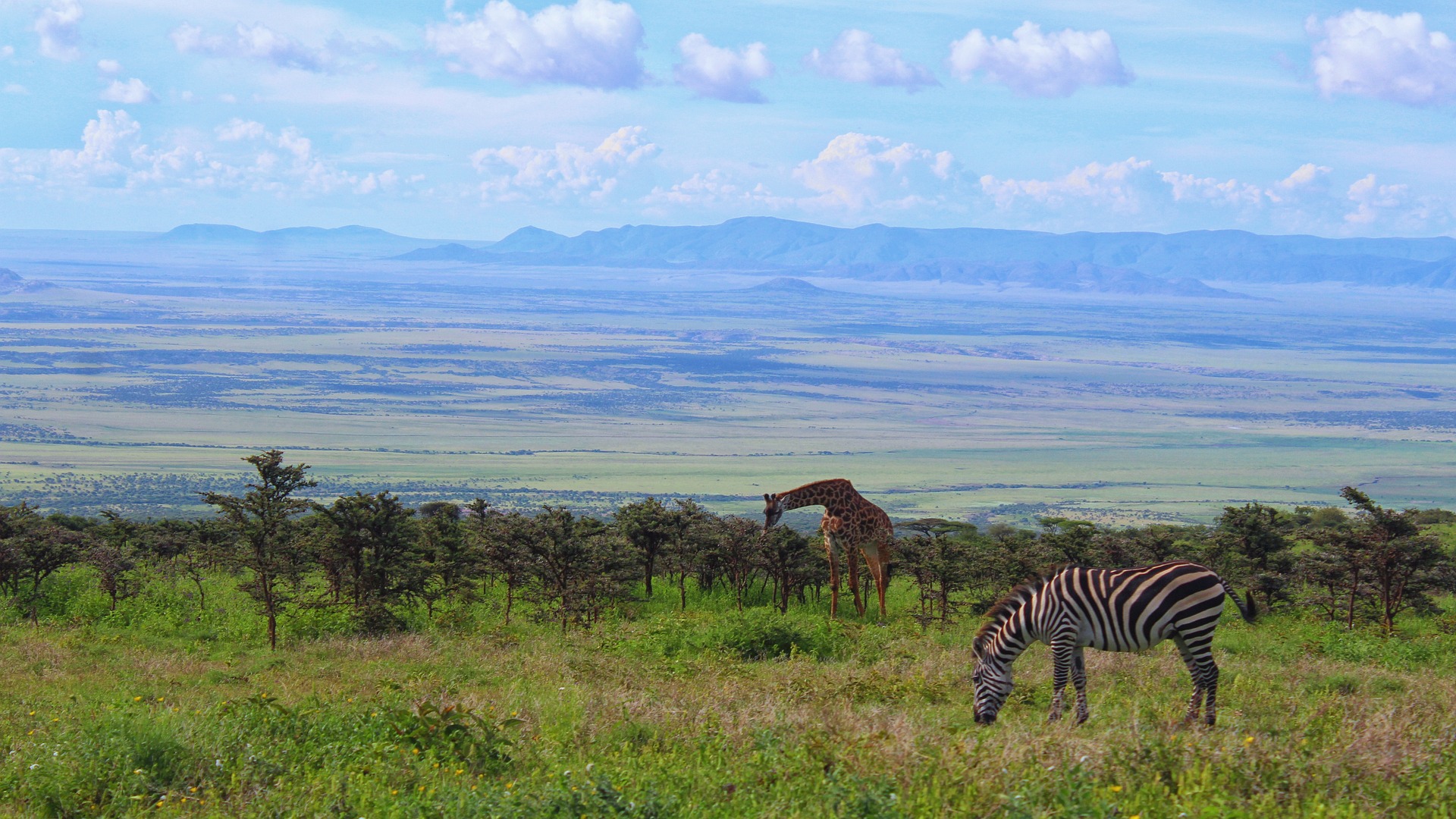 3 Days Safari